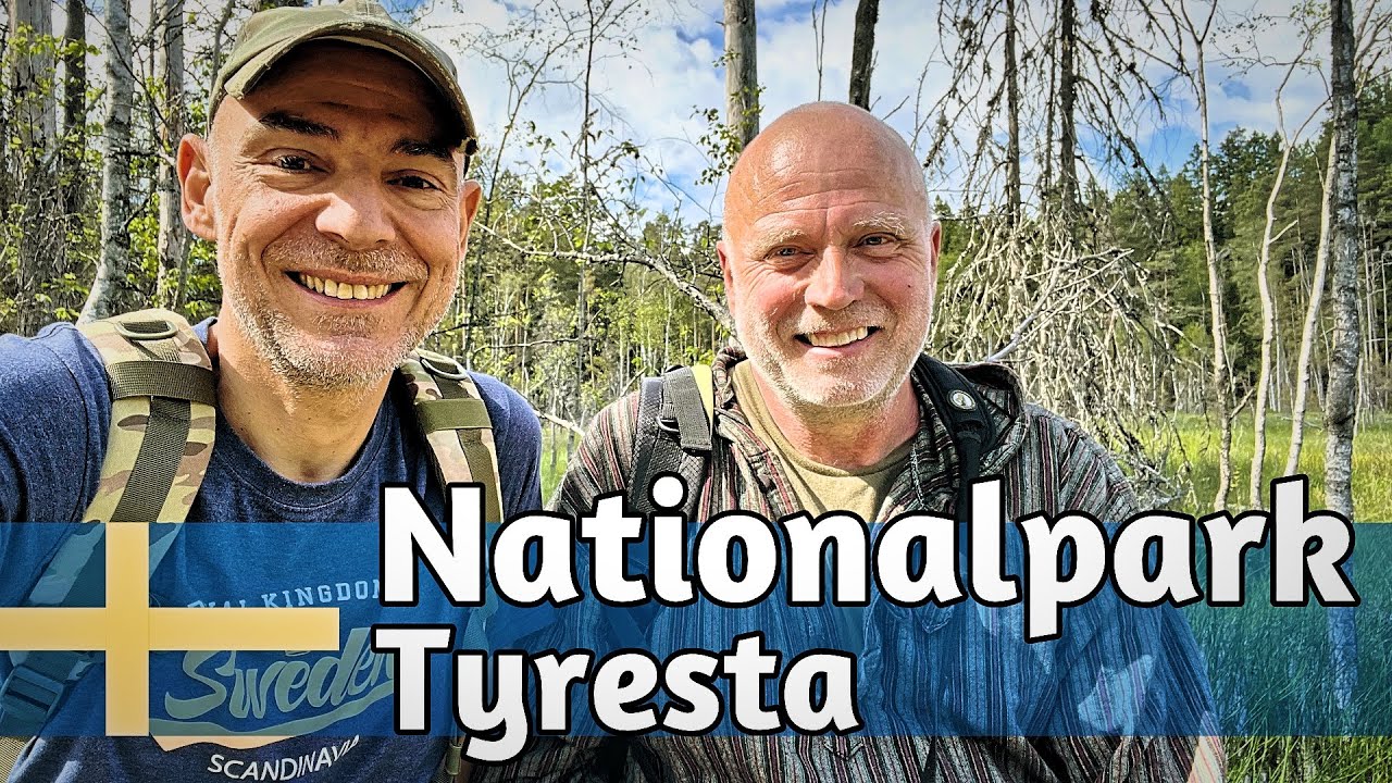 Schwedischer Urwald direkt bei Stockholm - Im Tyresta Nationalpark wandert man in echter Wildnis