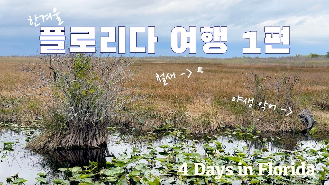 🇺🇸 미국 여행 | 혹한 탈출!  플로리다 여행 1편 - 야생 동물의 천국 Everglades 국립공원 4 Days in Florida Part I