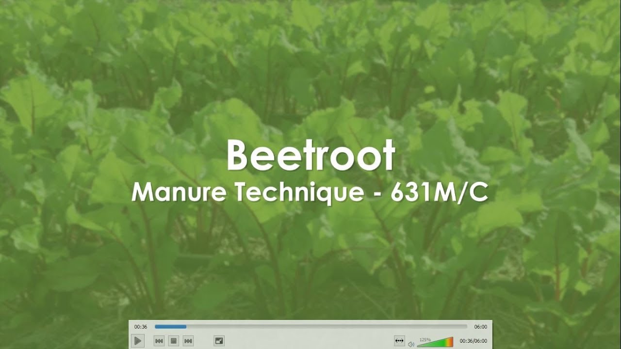 Beetroot - Manure 631MC