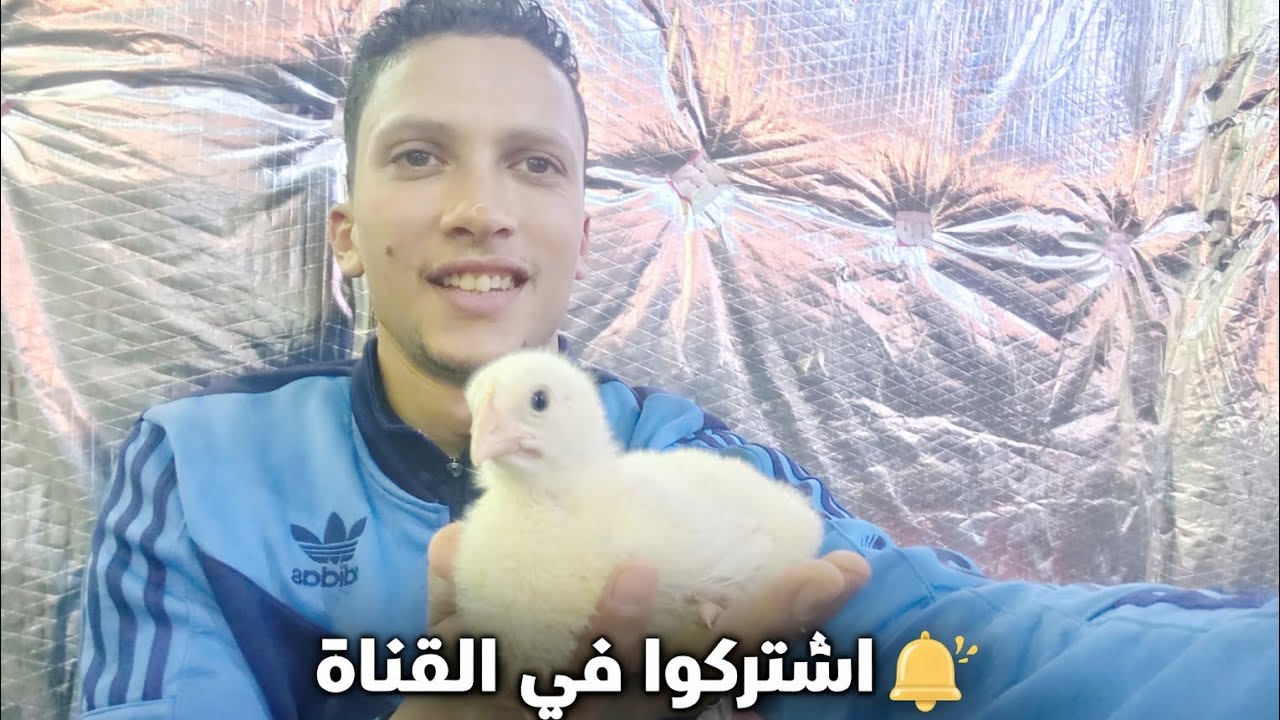 تفاصيل اليوم السابع ودعواتكم مع بخير اللهم بارك وزد في ذلك يارب العالمين 👌❤️