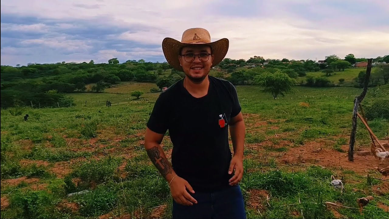Pedro Alencar - Forrózinho é Bom Demais (Clipe Oficial) 