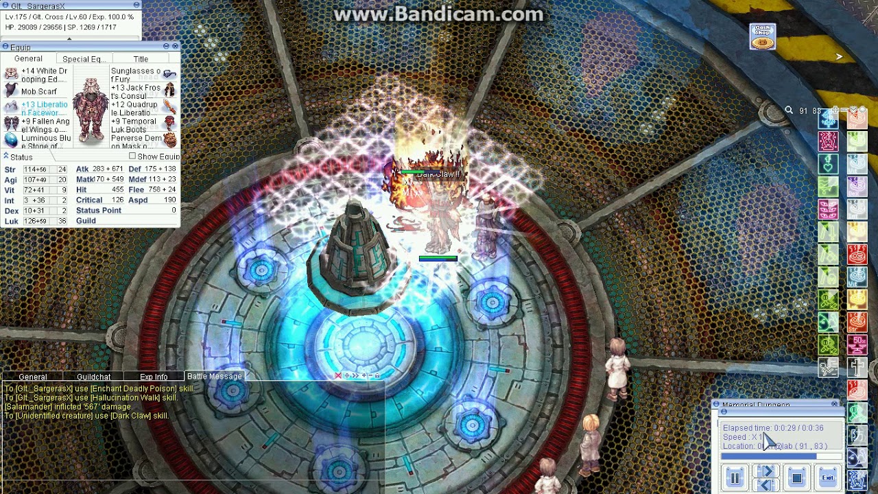 iRO Chaos DD DA Crit GX vs Paladin Randel, Red Faceworm Queen, Ifrit, Izlude Eggs etc