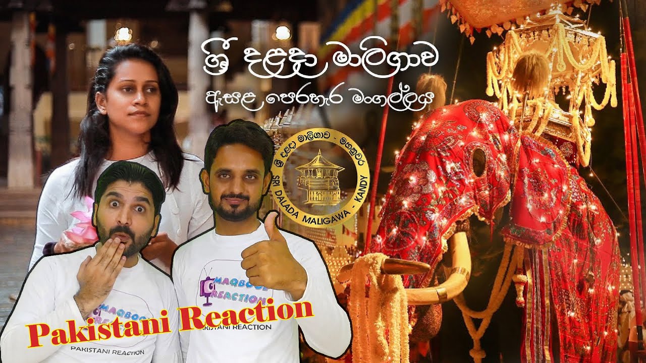 Pakistani reaction on Kandy Esala Perahera  | Sri Dalada Maligawa | #Sri Lanka