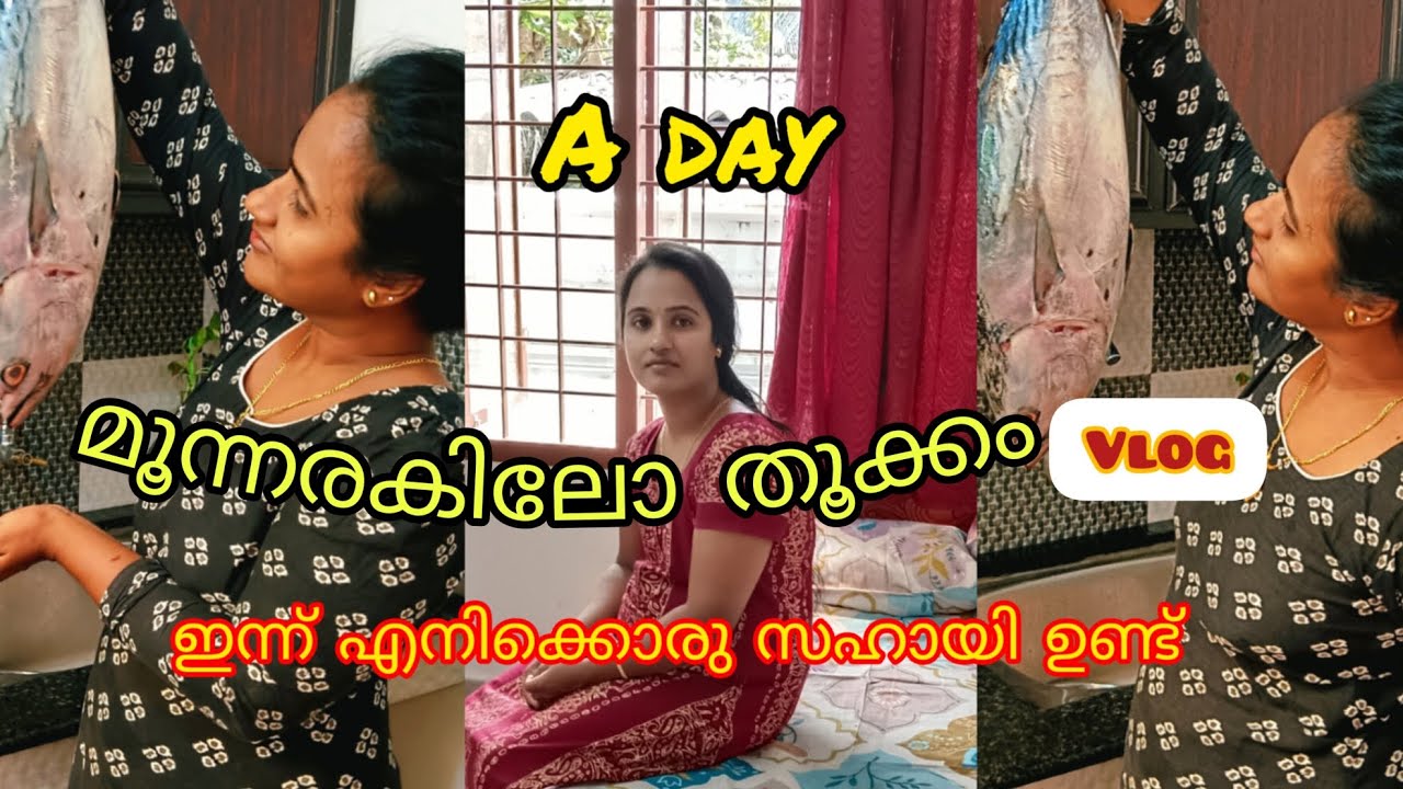 അടുക്കളയിൽ  പുതിയൊരു servant  നെ കിട്ടി 🤩🤷 എനിക്ക് ഇരട്ടിപണിയും തന്നു🤪