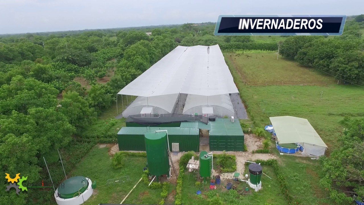VIDEO SERVIMAGRO INVERNADEROS Y ESTANQUES PARA PISCICULTURA