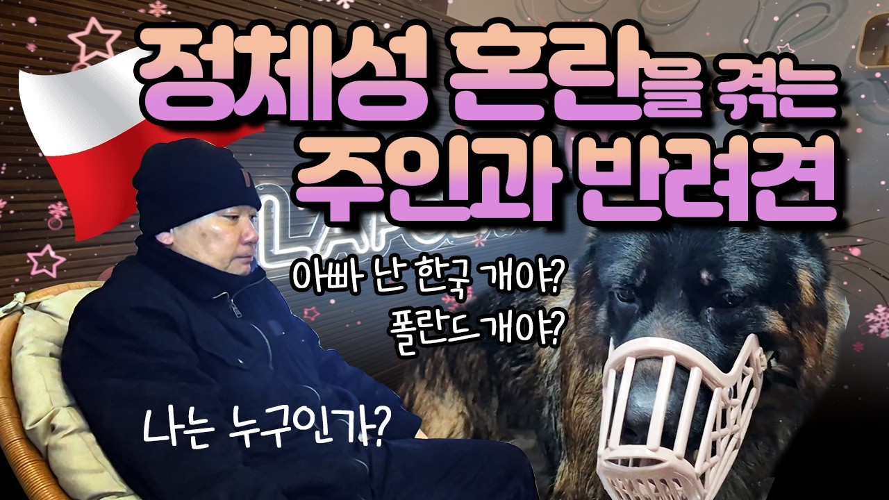 🇵🇱 폴란드 일상 | 개와 주인의 국적 논란 | 두쫀쿠 꺼져~ 초콜릿 입에 물고 스파게티 먹어봐! | 목욕이 젤 쉬웠어요