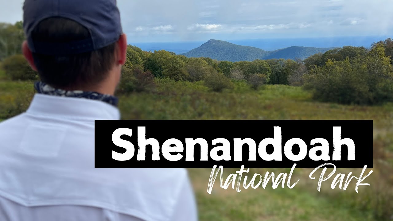 Shenandoah | A Presidential Suite in the Wilderness