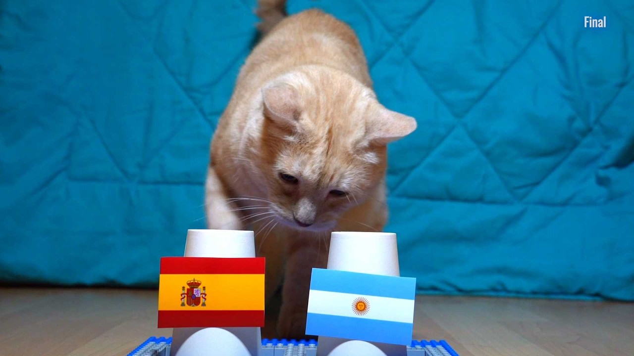 Spain Vs Argentina - Cats World Cup 2026 Final Prediction