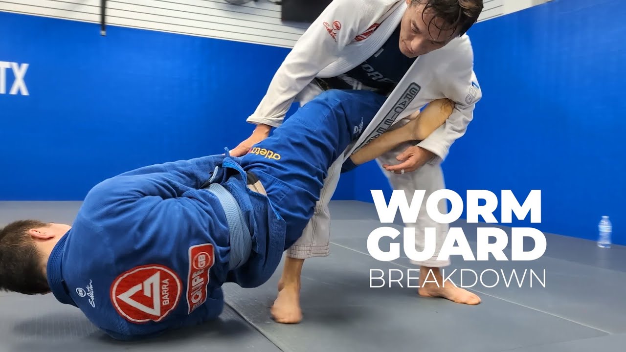 Worm Guard Breakdown with Prof Sooninho