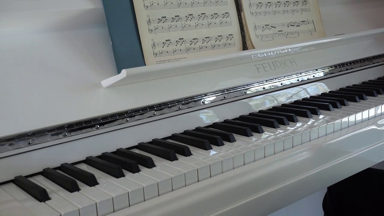 Feurich 133 Concert Upright Piano (White)