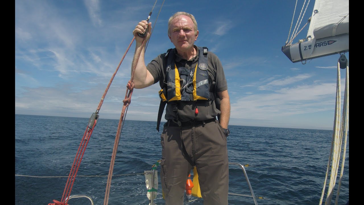 Sailing with dolphins