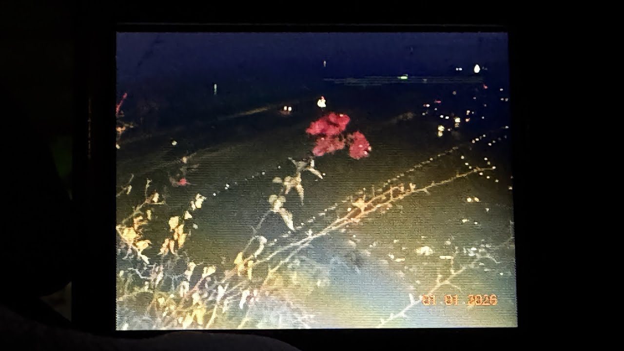Celebrating New Years in a Hanging Garden