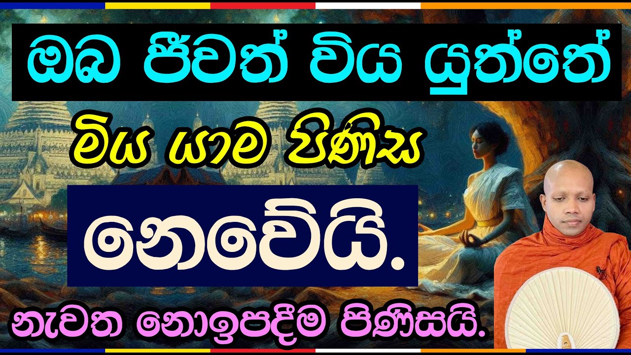 ඔබ ජීවත් විය යුත්තේ නැවත නොඉපදීම පිණිසයි.2814Ven Hasalaka Seelawimala Thero