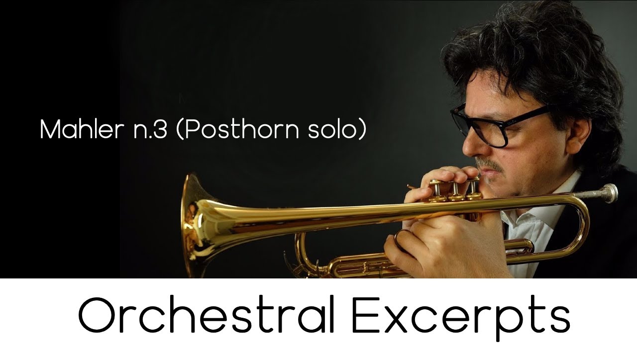 Orchestral Excerpts n .1 