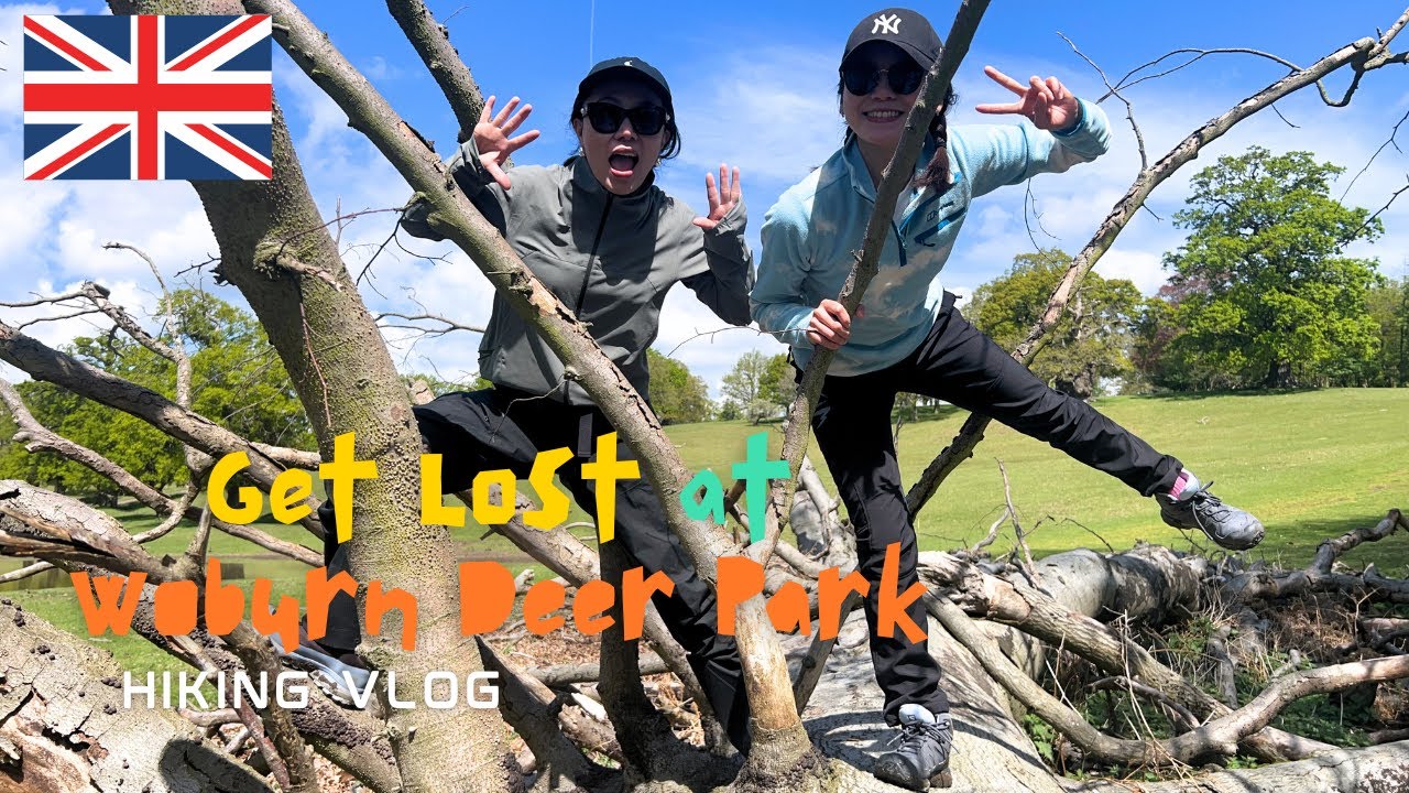 Woburn Deer Park Walk, Bedfordshire 🇬🇧 (2024.5)