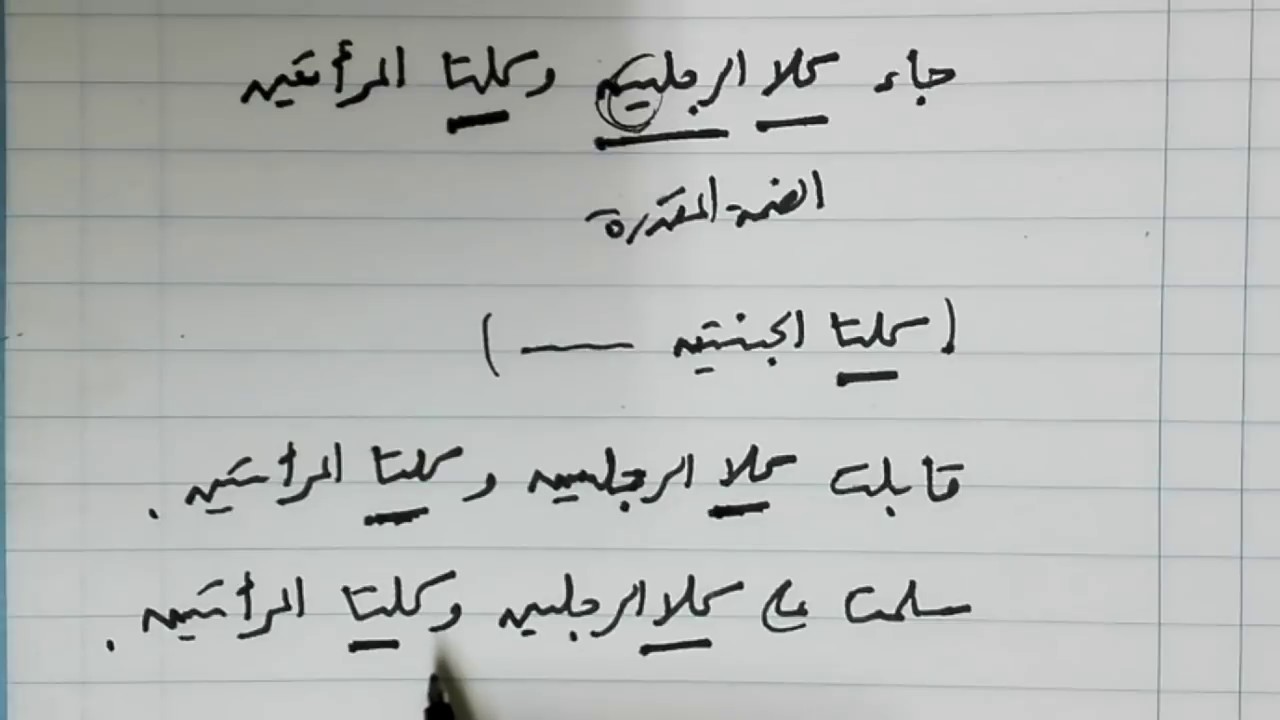 شرح ألفية ابن مالك 13 المثنى والملحق به