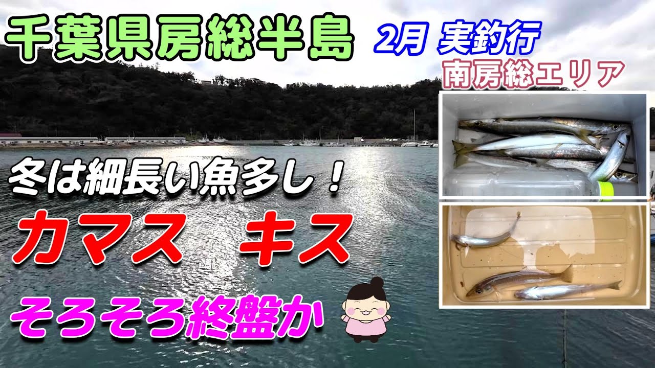 【釣行】南房総エリア ２月 カマス キス 房総半島 実釣！