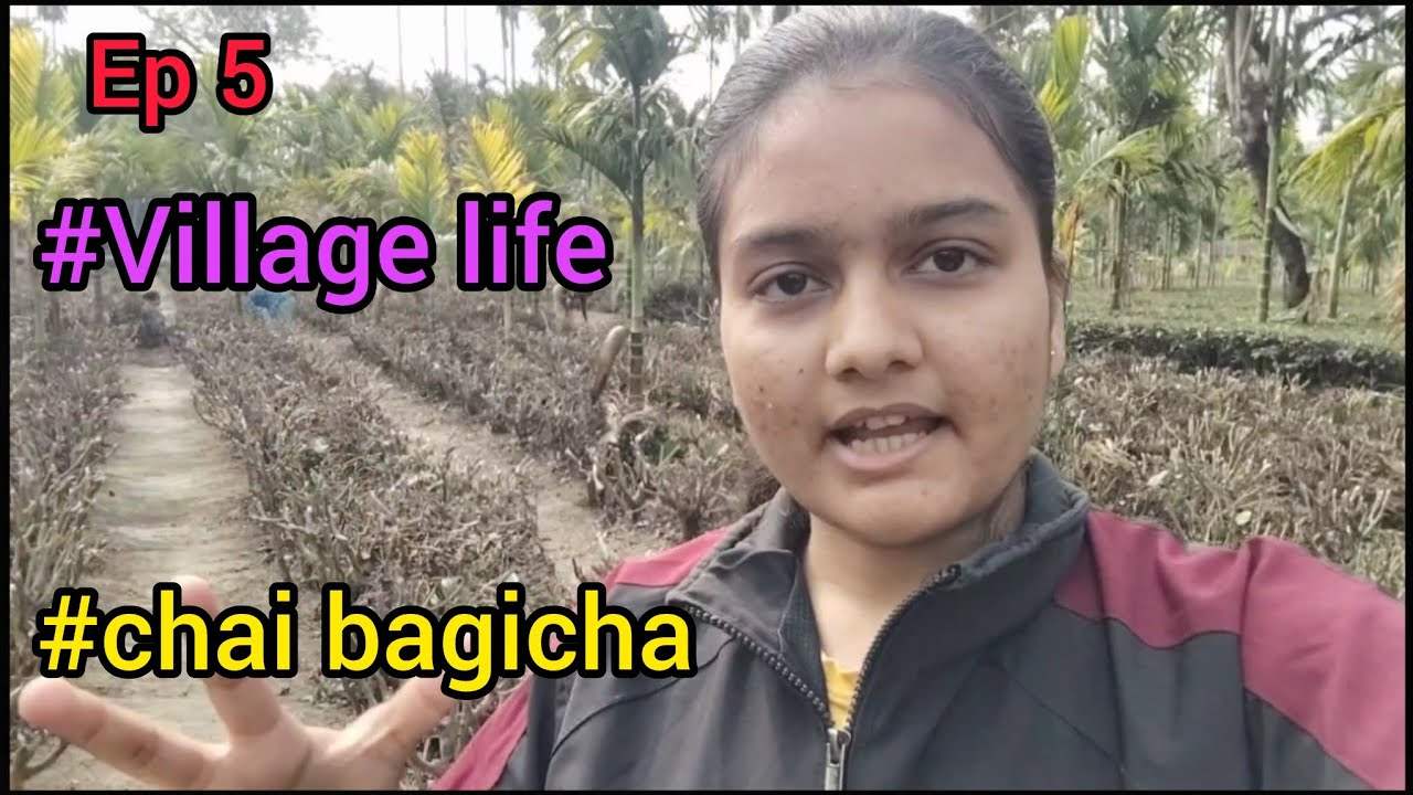 Village life ep 5 @chetana01 