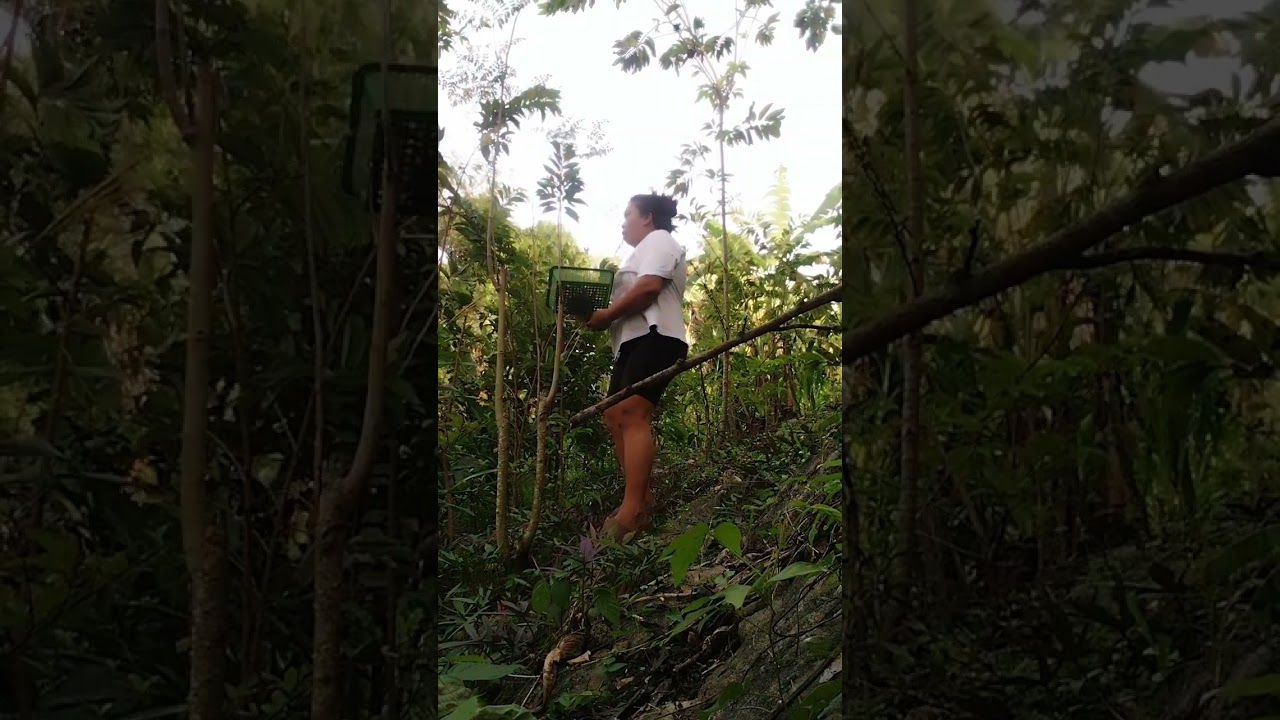Masarap mamuhay sa bukid.