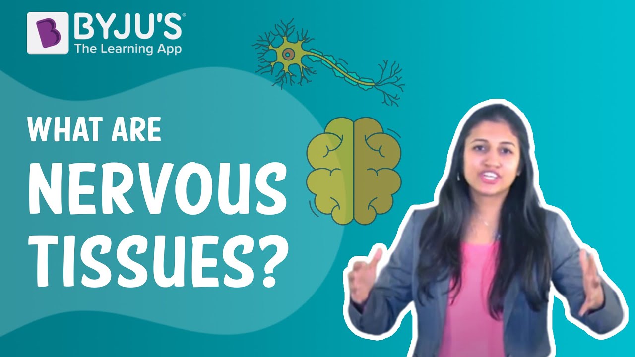 What are Nervous Tissues? I Class 9 I Learn With BYJU'S