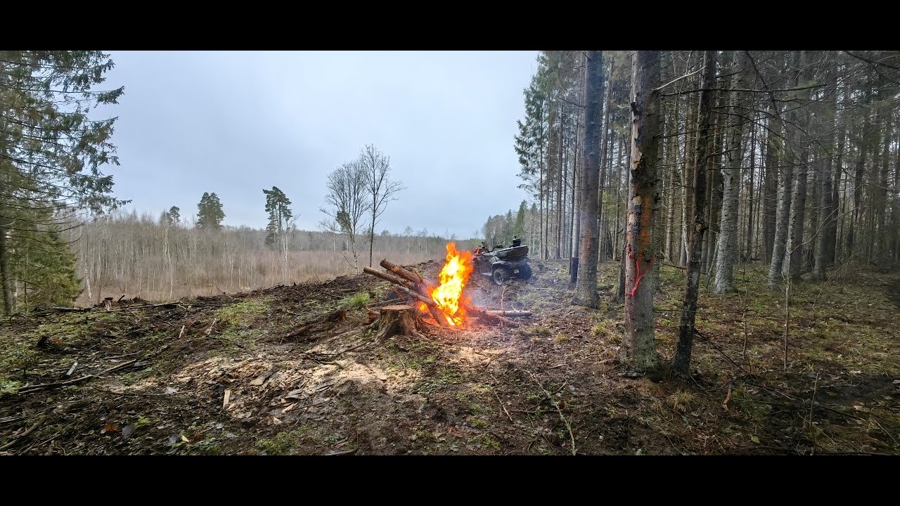 Cutting wood, making fire\Forest chill with atv
