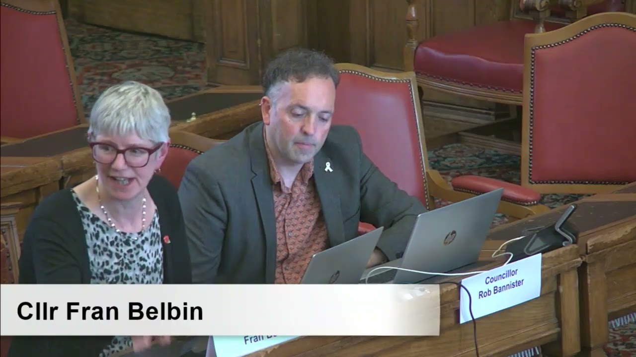Sheffield City Council Governance Committee 6 November 2025