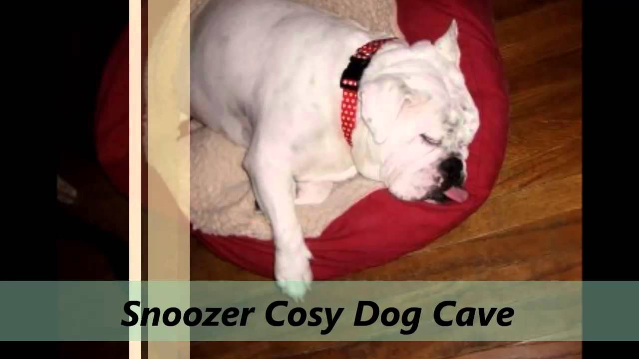 Snoozer Cosy Cave Pet Bed