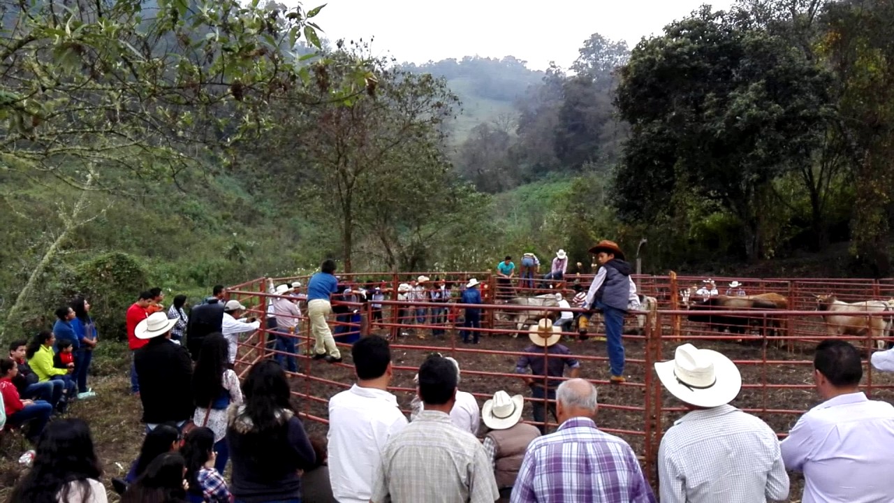 Achocoatl&aacute;n 2016 (3)
