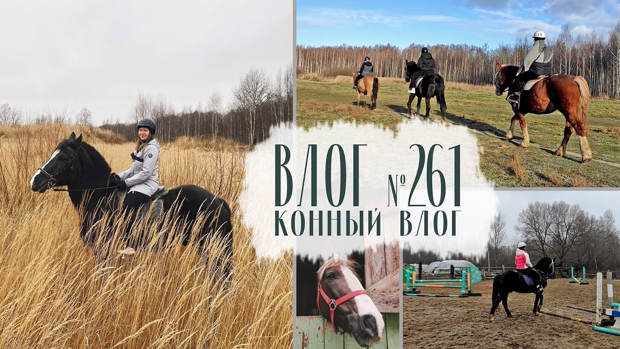 Конный влог. Возвращение в седло, прогулки в поля и плац. Влог №261