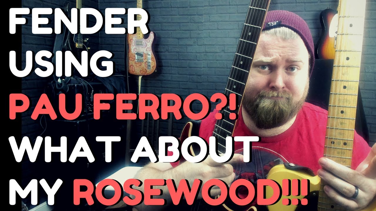 Fender перестали использовать палисандр? Разве пау ферро — не мусор? Guitar Player Logic