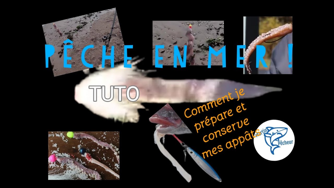 Tutoriel pr&eacute;parer et conserver &acirc;ppats mer au sel