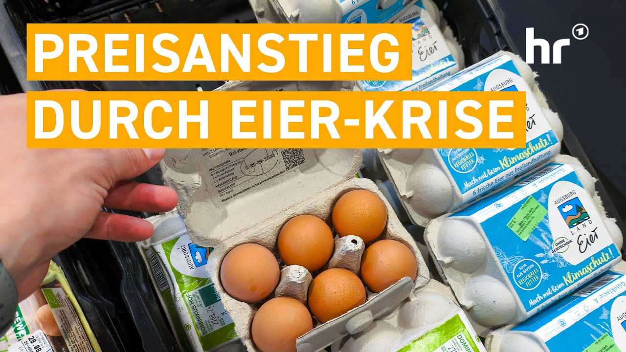 Eier zum Luxuspreis - SO funktioniert der Eiermarkt | mex