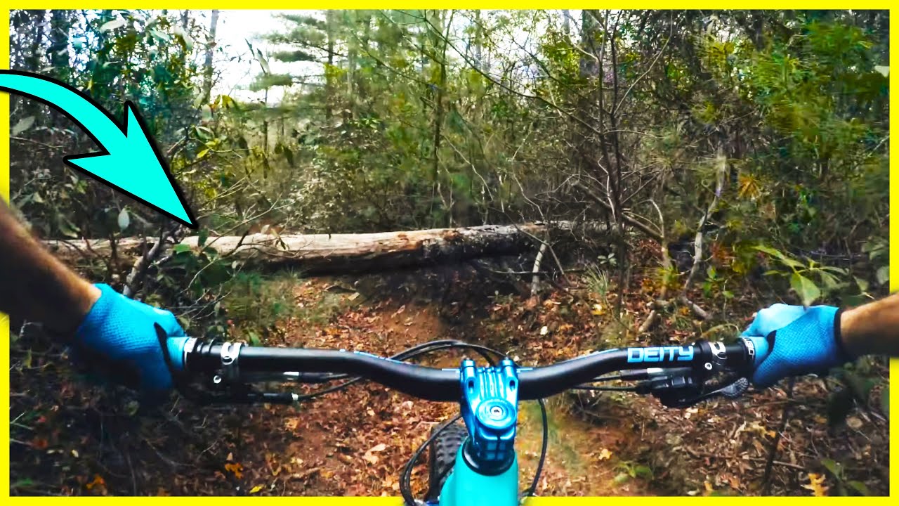 Beehive MTB trail is as nasty as it sounds!  Pisgah | Thrills with Phil