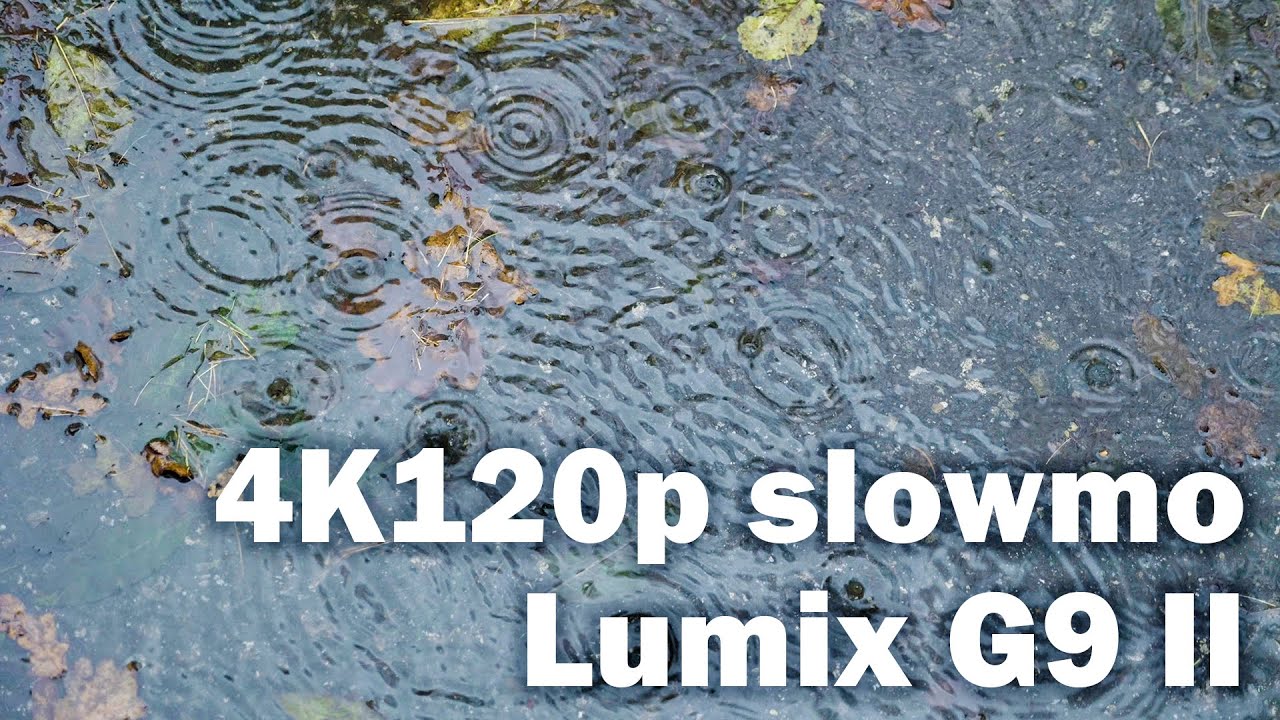4K120p slow-motion: Lumix G9 II Test (Rain in Forest)