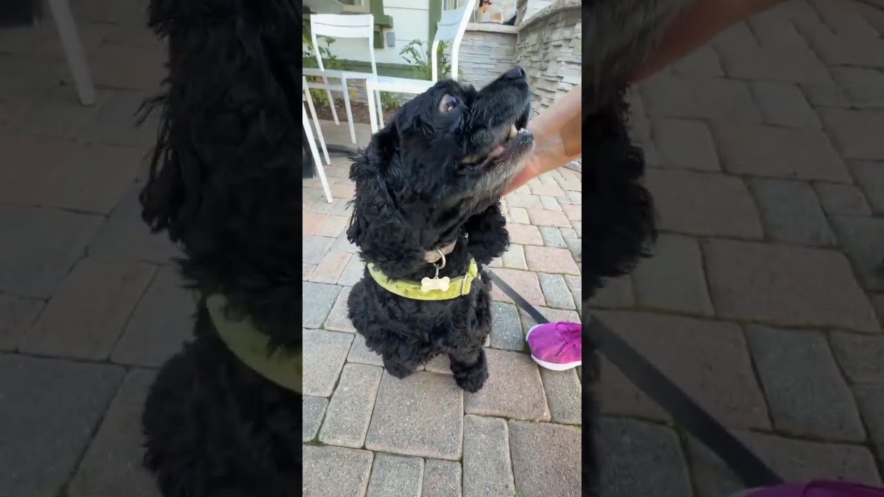 Untitled Facebook Live