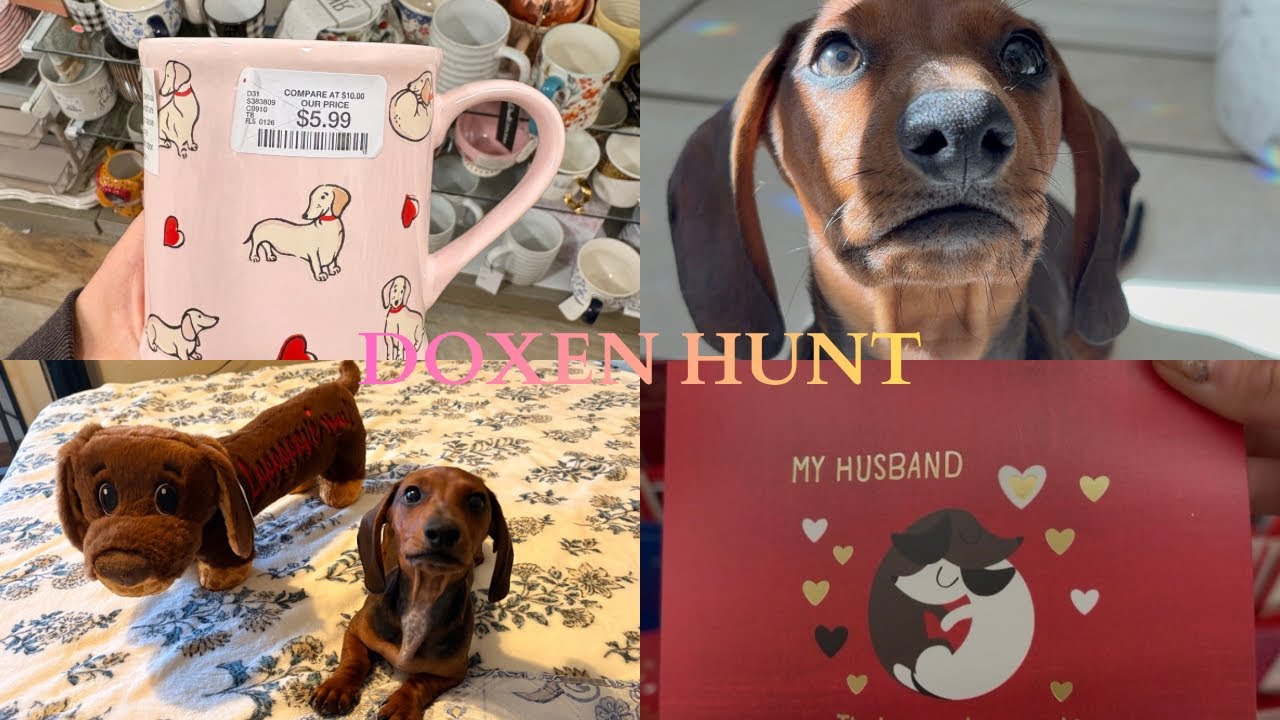Searching for Dachshund Finds at Ross & Marshalls 🐶 | Doxen Hunt 🛍️🐾