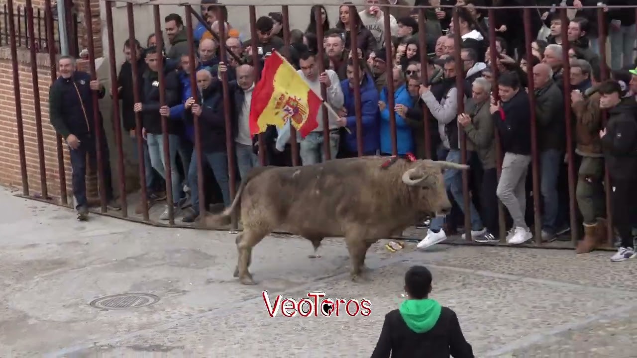 Madrigal de las AATT 2025 Toro de San Nicolas