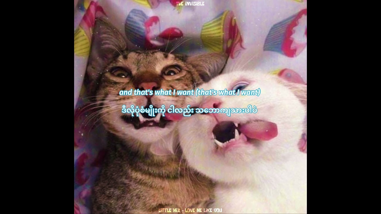 Little Mix - Love Me Like You (MM Sub )