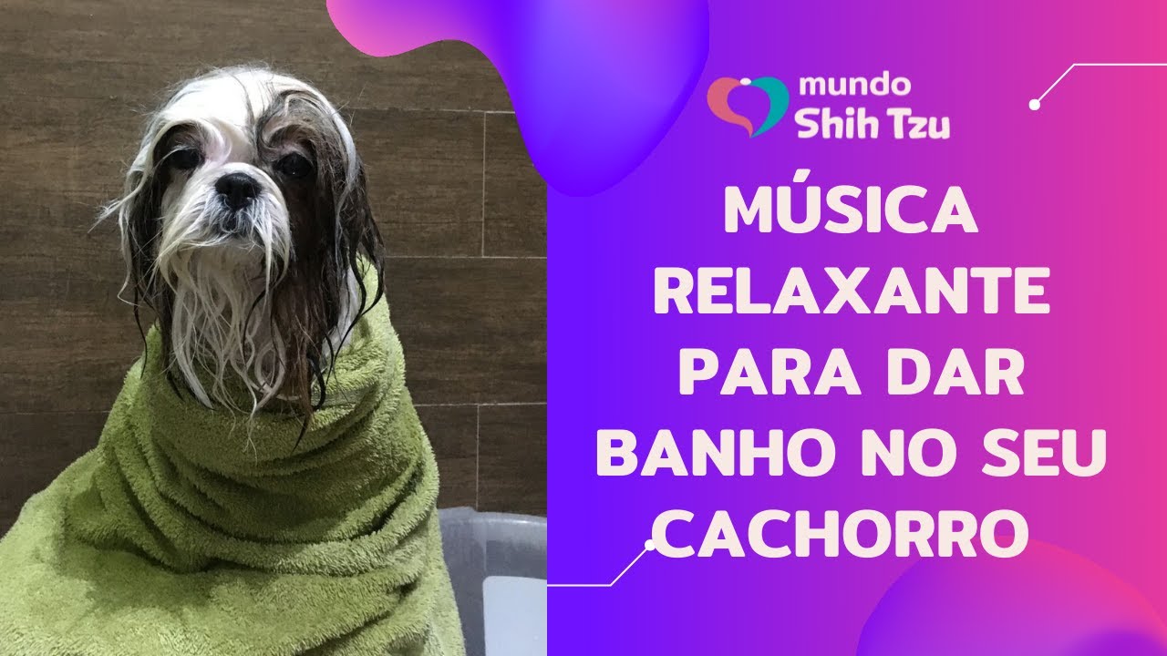 M&uacute;sica relaxante para dar banho no cachorro
