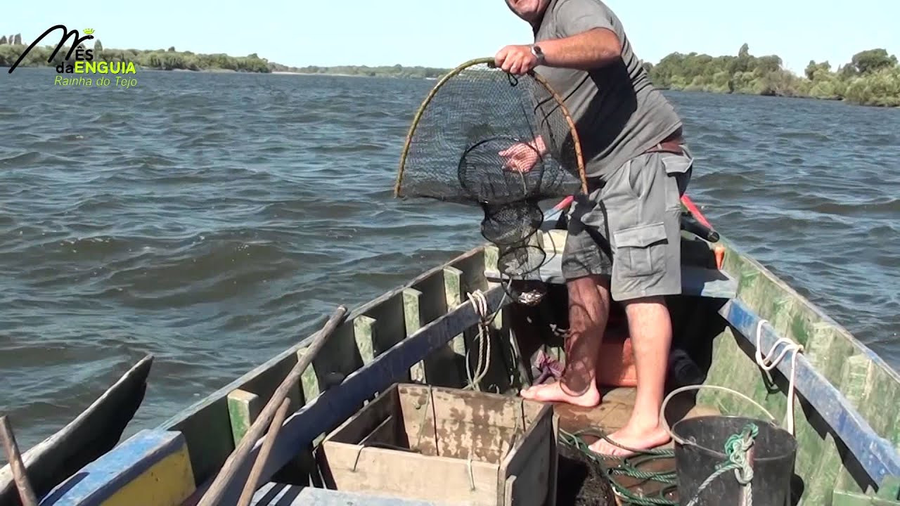 Salvaterra de Magos Mês da Enguia 2015 - A Pesca da Enguia