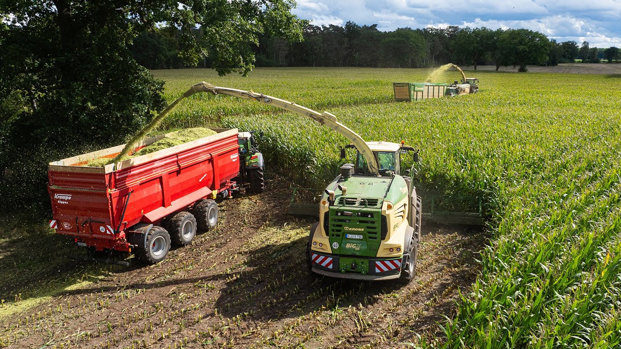 Mais 2025 | 24 ROWS | Krone BiG X 1180 + 780 | Big Transport | Busche Estorf