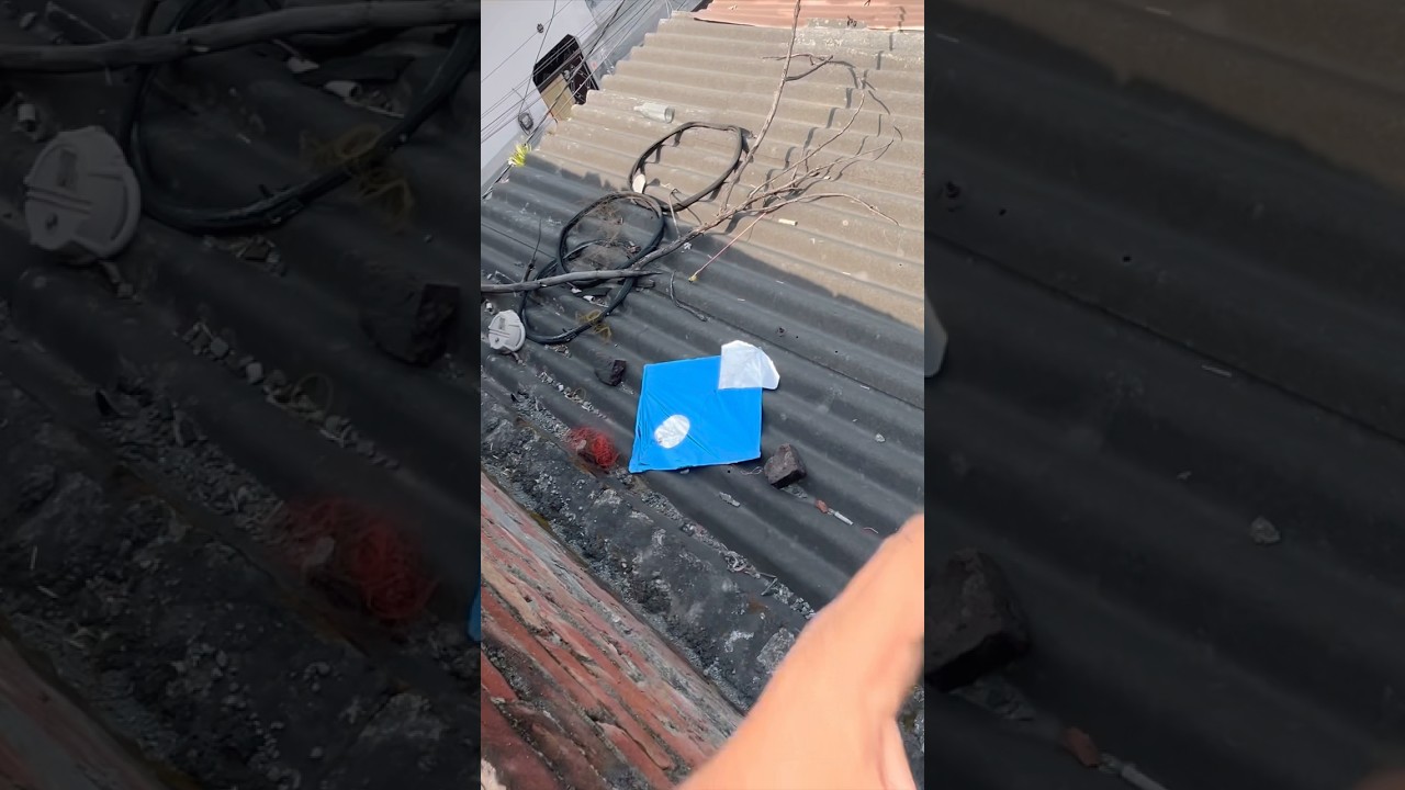 Blue kite looting 