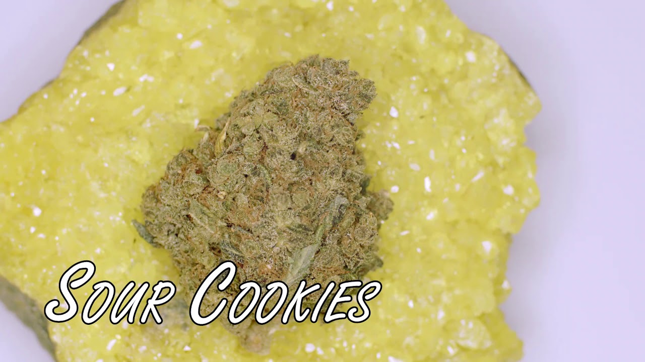 Sour Cookies - Strain Review HIGH QUALITY