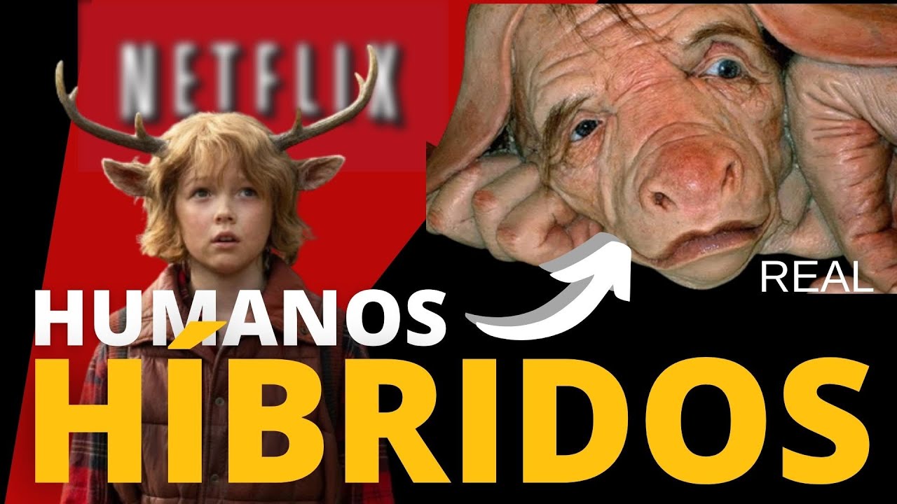 H&Iacute;BRIDOS DO NETFLIX PARA VIDA REAL | JAP&Atilde;O APROVA NASCIMENTO DE PESSOAS H&Iacute;BRIDAS O SWEET TOOTH REAL