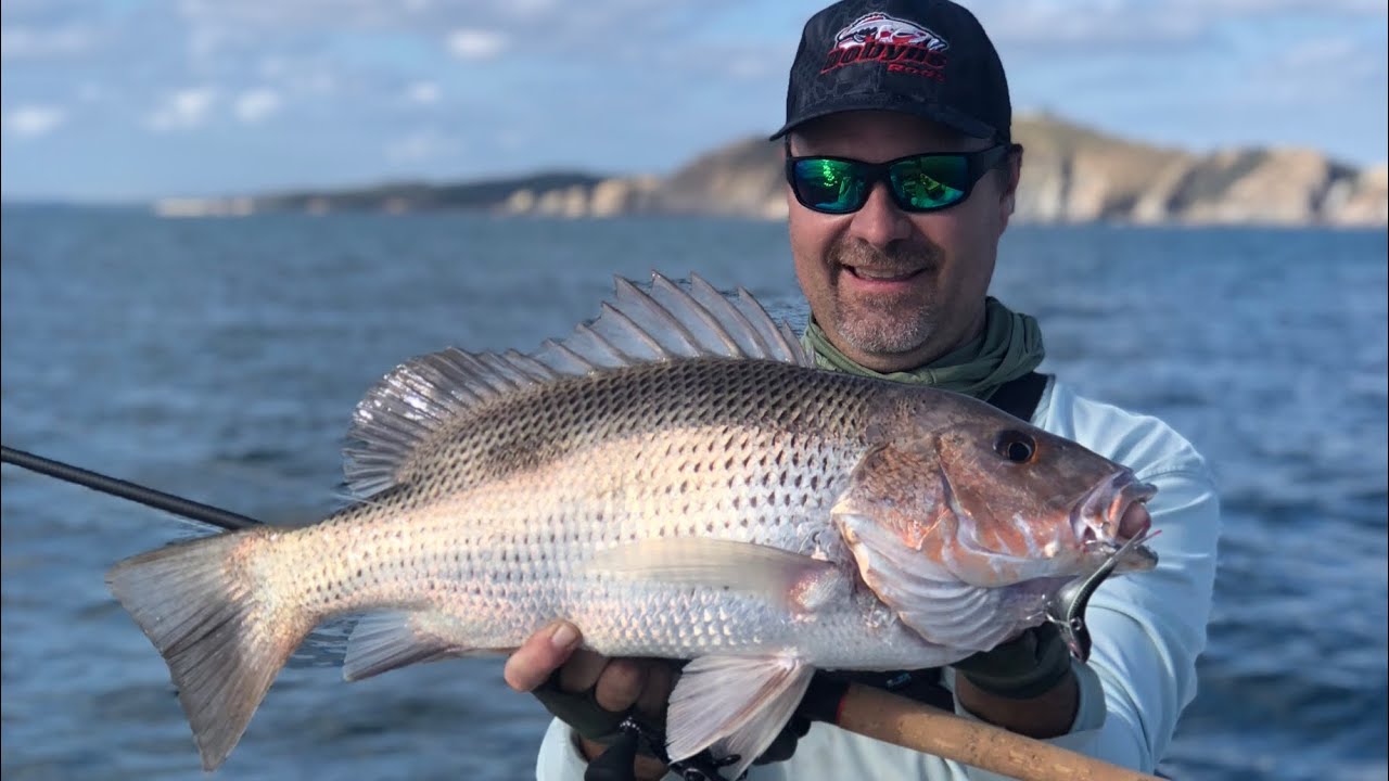 Fishing WRECKS off Gladstone with SOFT VIBES