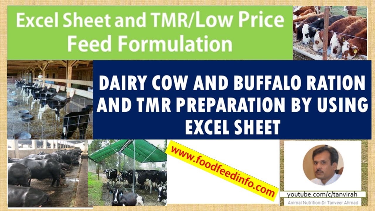 Feed & TMR Formulation by using Excel Sheet for Dairy, Meat &  Fattening Animal Rations