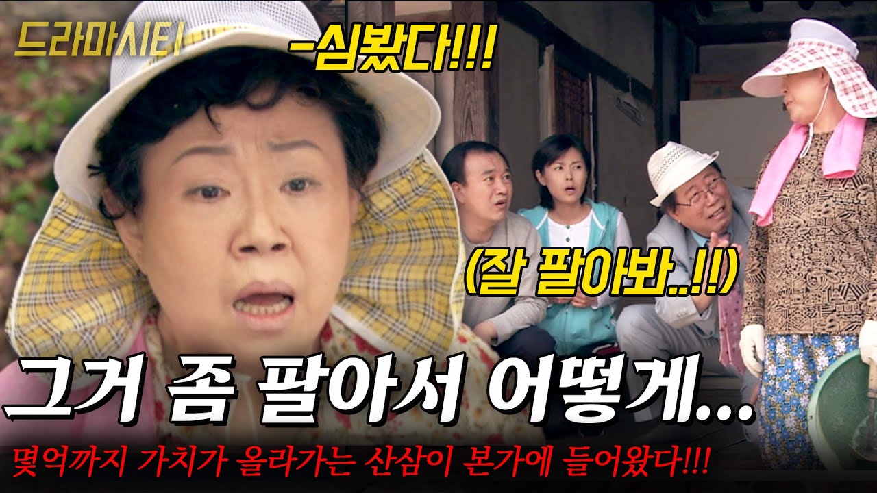 [드라마시티] 심봤다!!!! 몇억까지 가치가 올라가는 산삼이 본가에 들어왔다!!! 코빼기고 안보이던 가족들 다모이는데..?? |봉매골 산삼소동| | KBS 2004.05.23