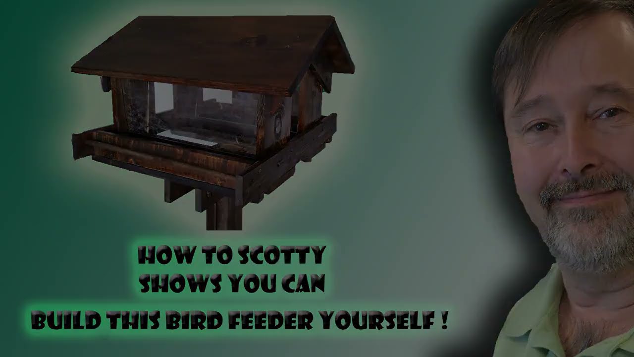 How to Build Large Covered Platform Bird Feeder