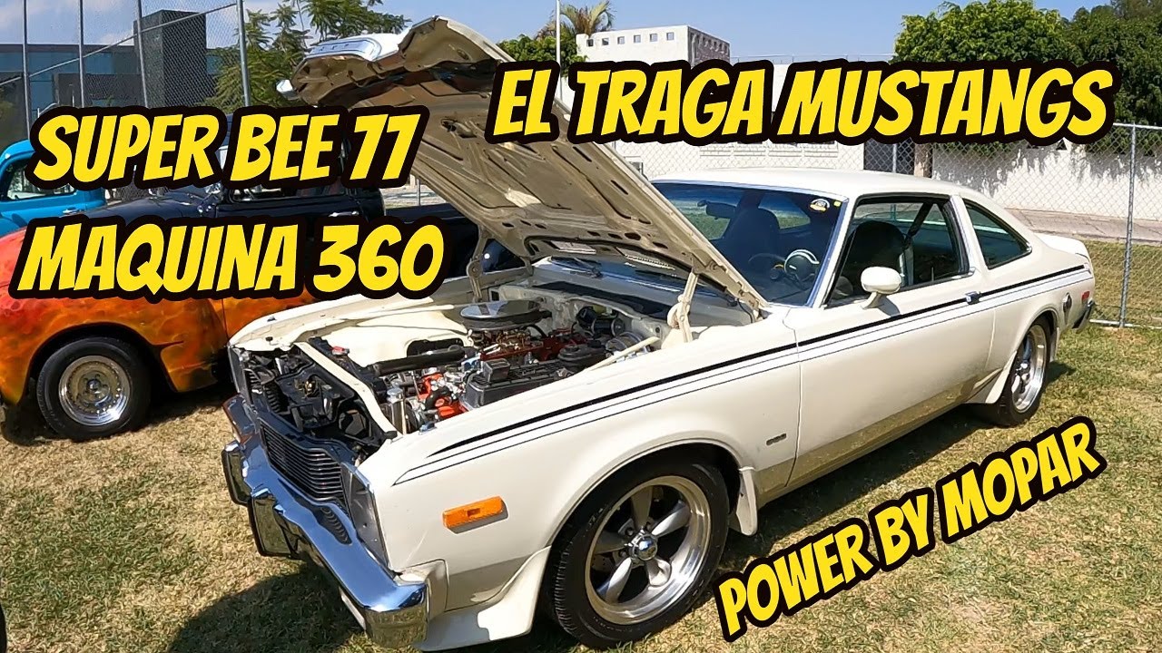 Super bee 77 mopar maquina 360 El traga Mustangs