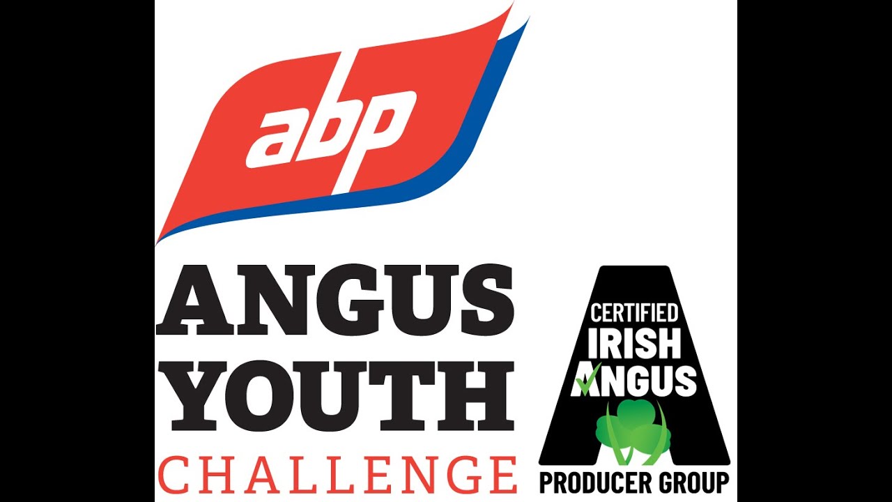 ABP Angus Youth Challenge finalist announcement 2024/2025